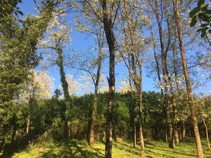 Martv'Elle Boutique Guesthouse Martvili Kültér fotó