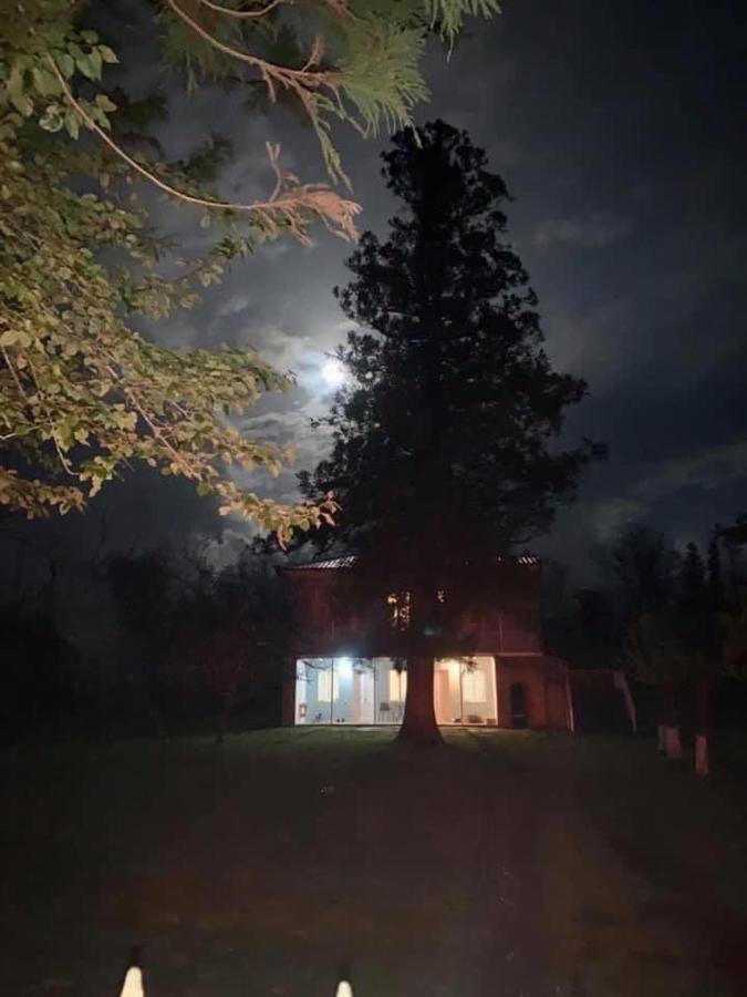 Martv'Elle Boutique Guesthouse Martvili Kültér fotó