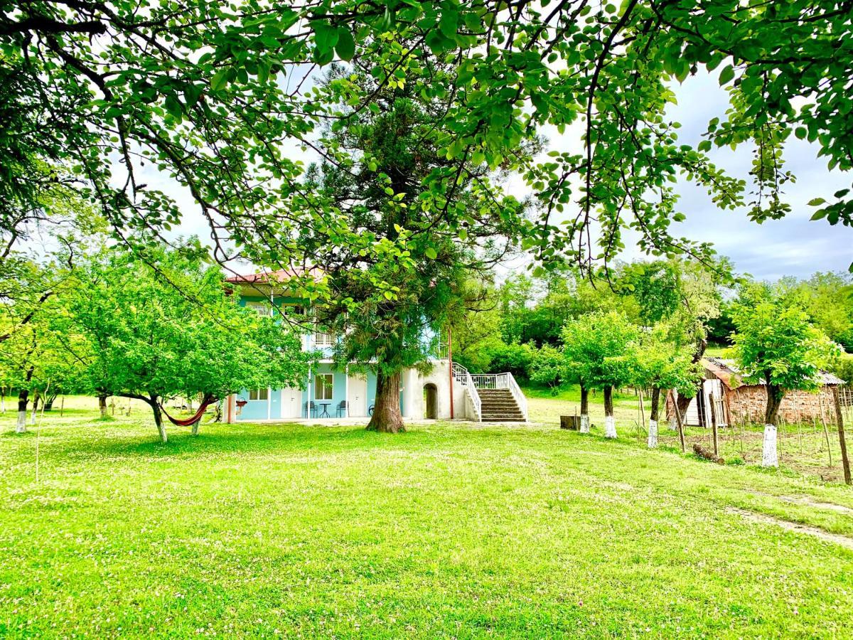 Martv'Elle Boutique Guesthouse Martvili Kültér fotó