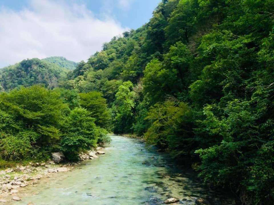 Martv'Elle Boutique Guesthouse Martvili Kültér fotó