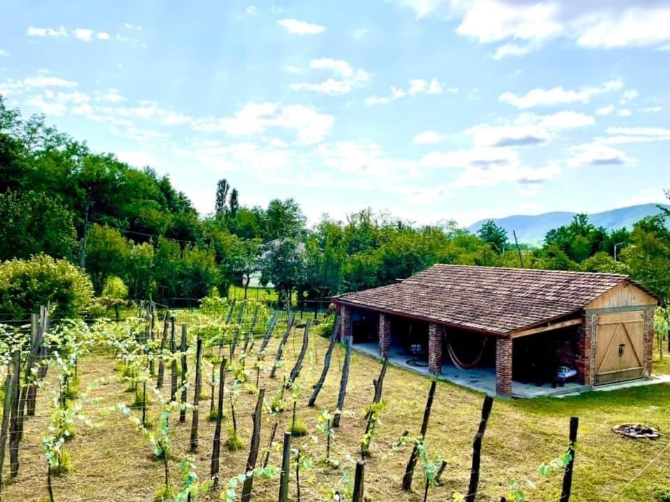 Martv'Elle Boutique Guesthouse Martvili Kültér fotó